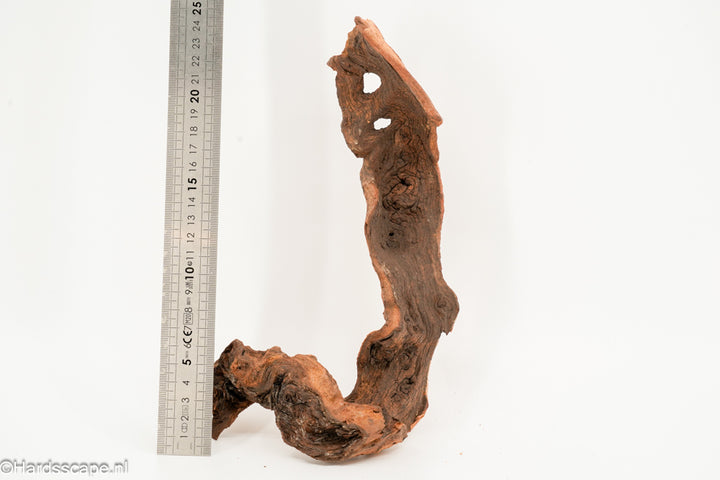 Mopani Hout 147 - Hardscape.nl