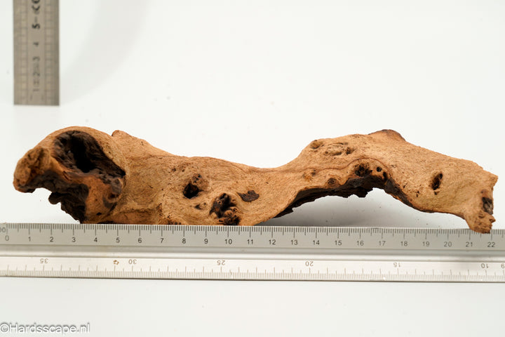 Mopani Hout 149 - Hardscape.nl