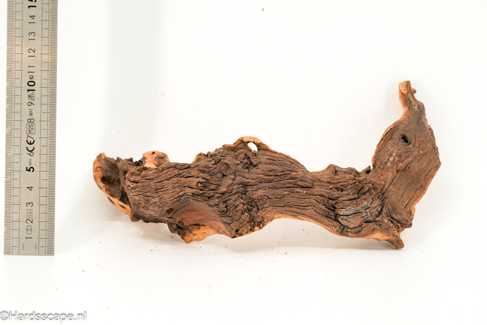 Mopani Hout 149 - Hardscape.nl