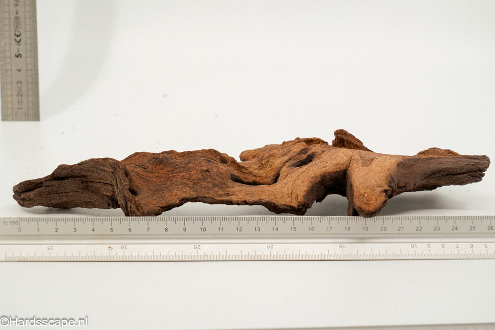 Mopani Hout 150 - Hardscape.nl