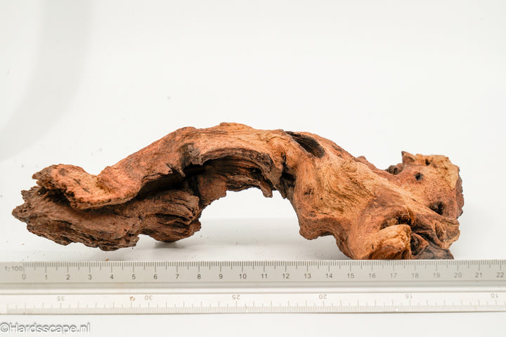 Mopani Hout 151 - Hardscape.nl