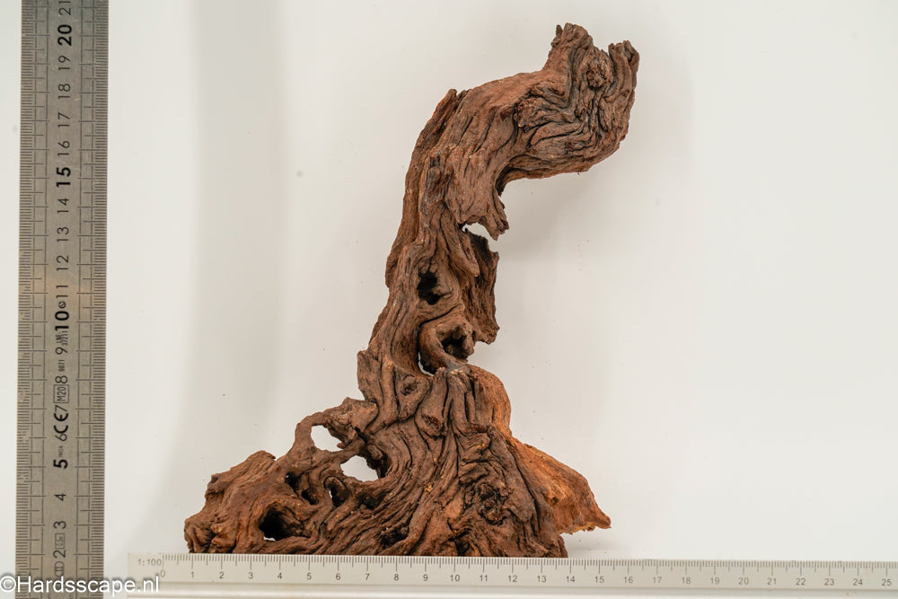 Mopani Hout 151 - Hardscape.nl