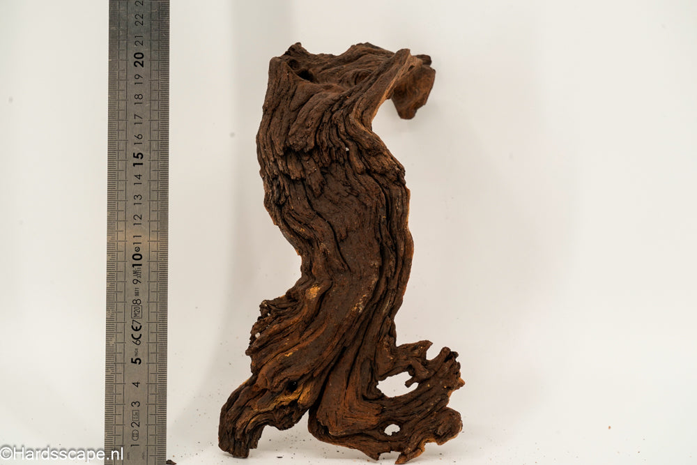 Mopani Hout 155 - Hardscape.nl