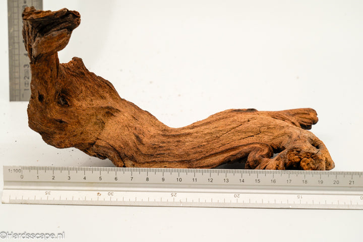 Mopani Hout 155 - Hardscape.nl