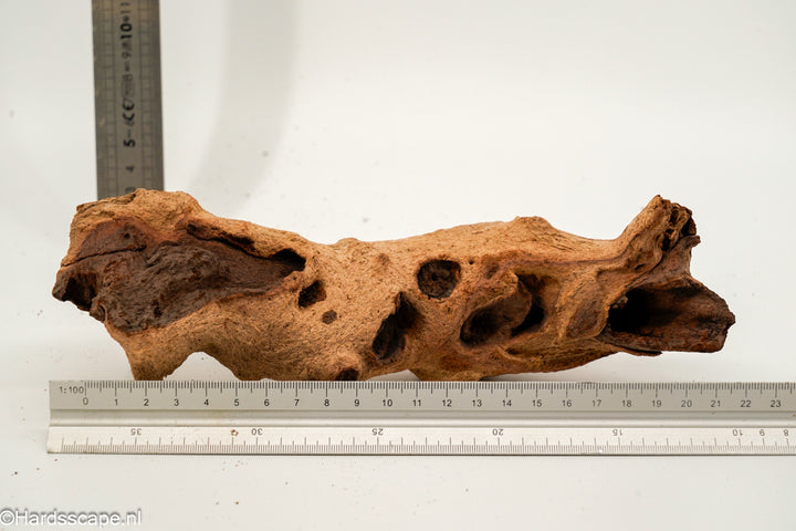 Mopani Hout 157 - Hardscape.nl