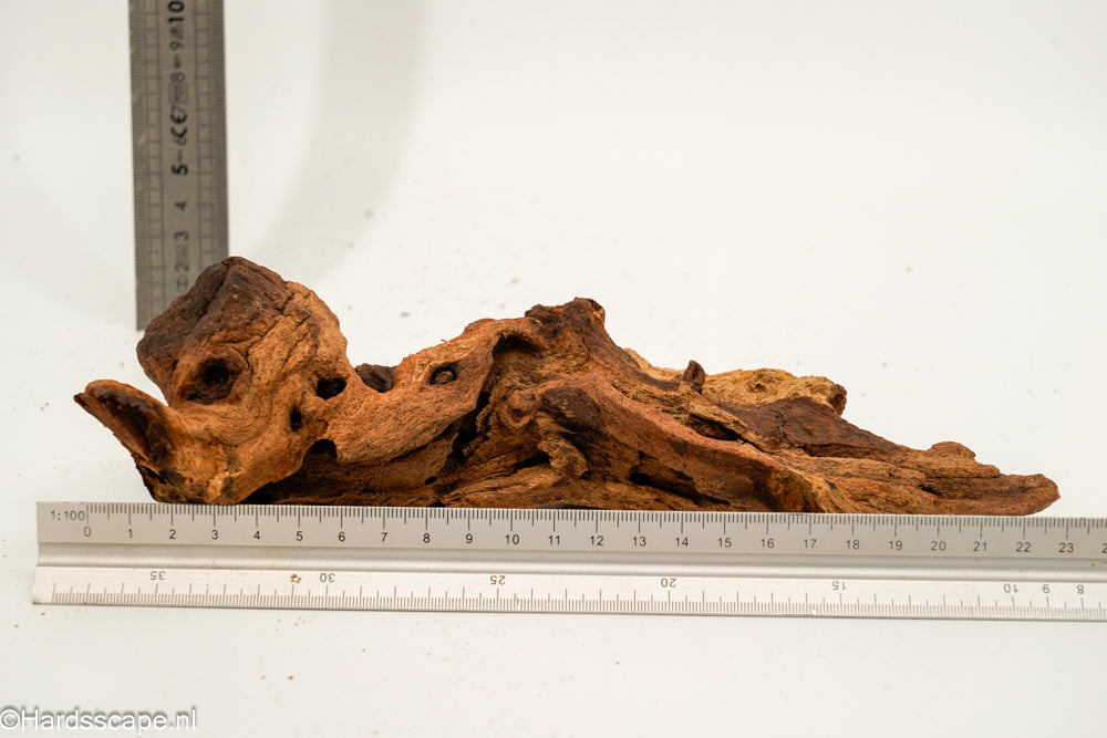 Mopani Hout 158 - Hardscape.nl