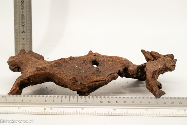 Mopani Hout 159 - Hardscape.nl