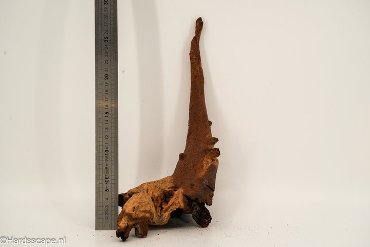 Mopani Hout 160 - Hardscape.nl
