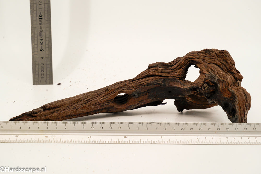 Mopani Hout 161 - Hardscape.nl