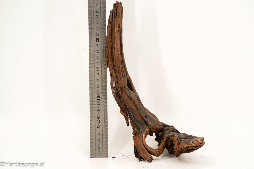 Mopani Hout 161 - Hardscape.nl
