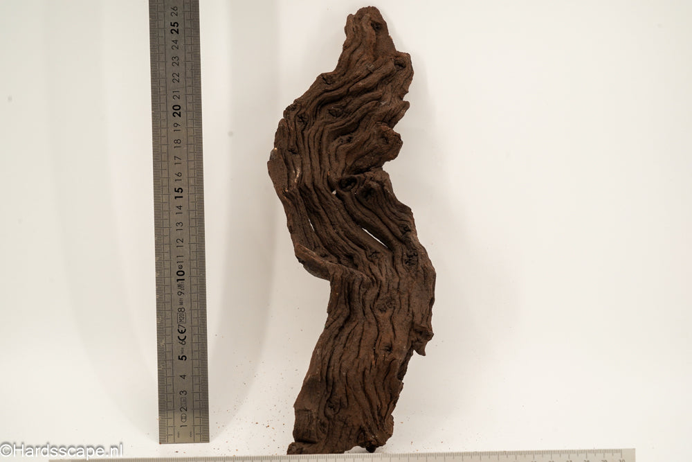 Mopani Hout 162 - Hardscape.nl