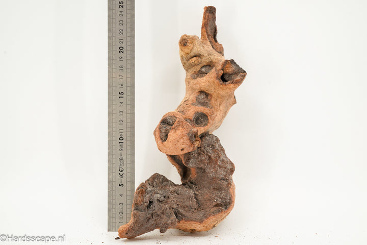 Mopani Hout 163 - Hardscape.nl