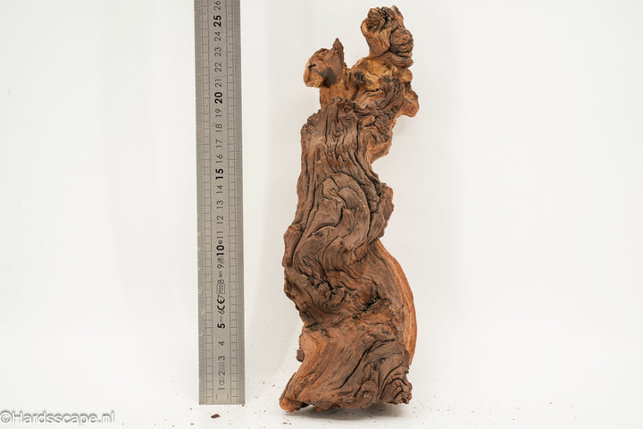 Mopani Hout 164 - Hardscape.nl