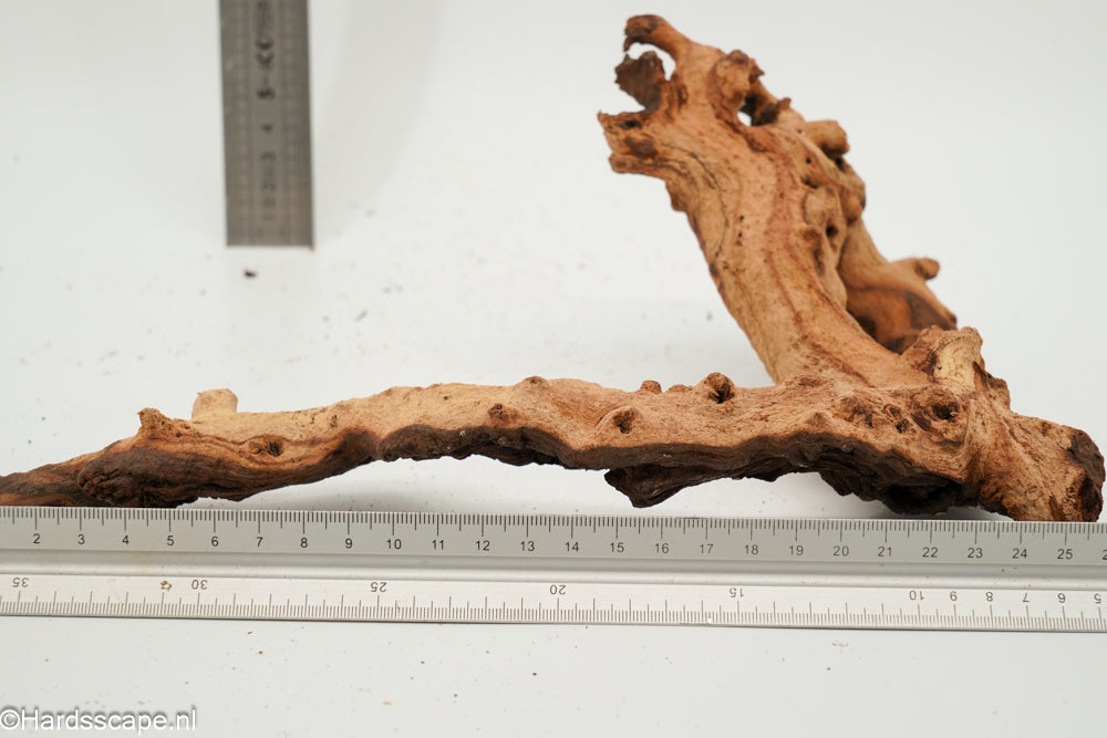 Mopani Hout 165 - Hardscape.nl