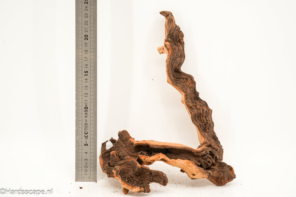 Mopani Hout 165 - Hardscape.nl