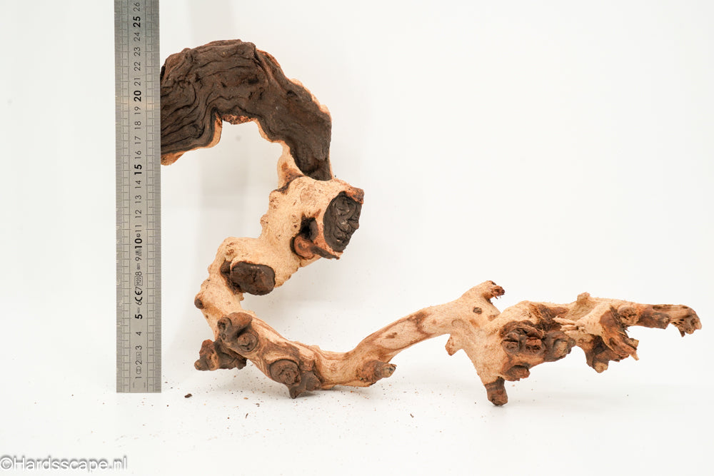 Mopani Hout 166 - Hardscape.nl