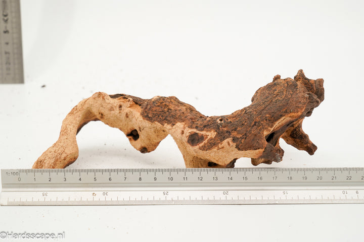 Mopani Hout 167 - Hardscape.nl