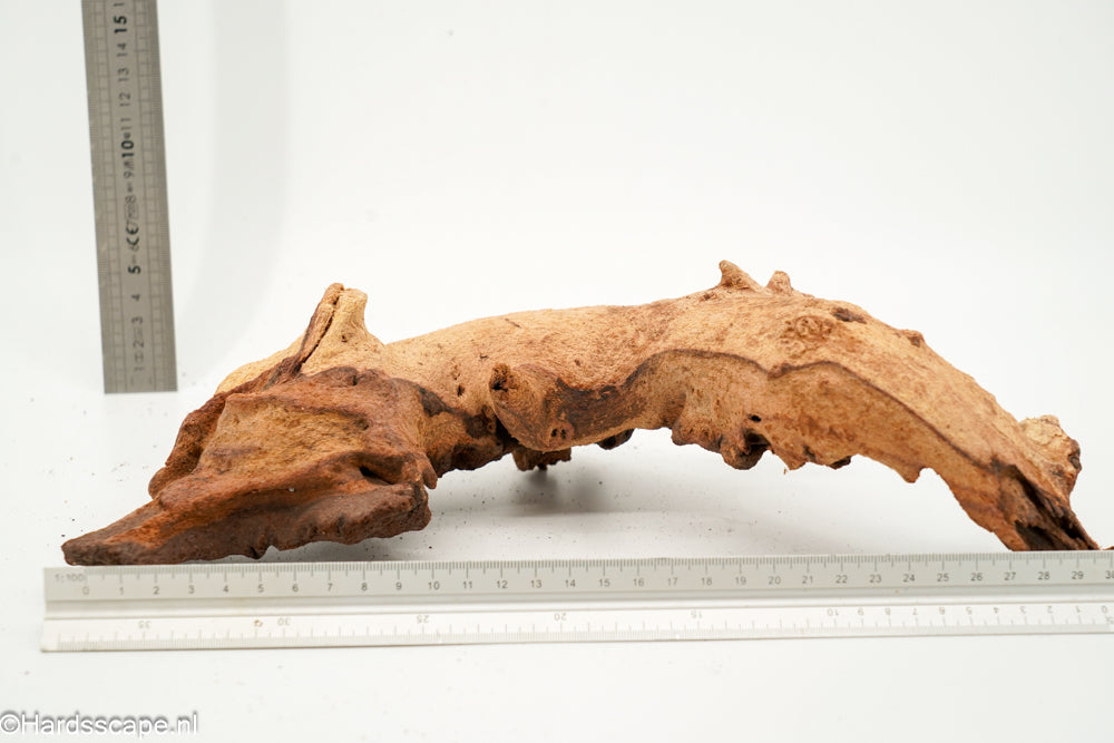 Mopani Hout 169 - Hardscape.nl