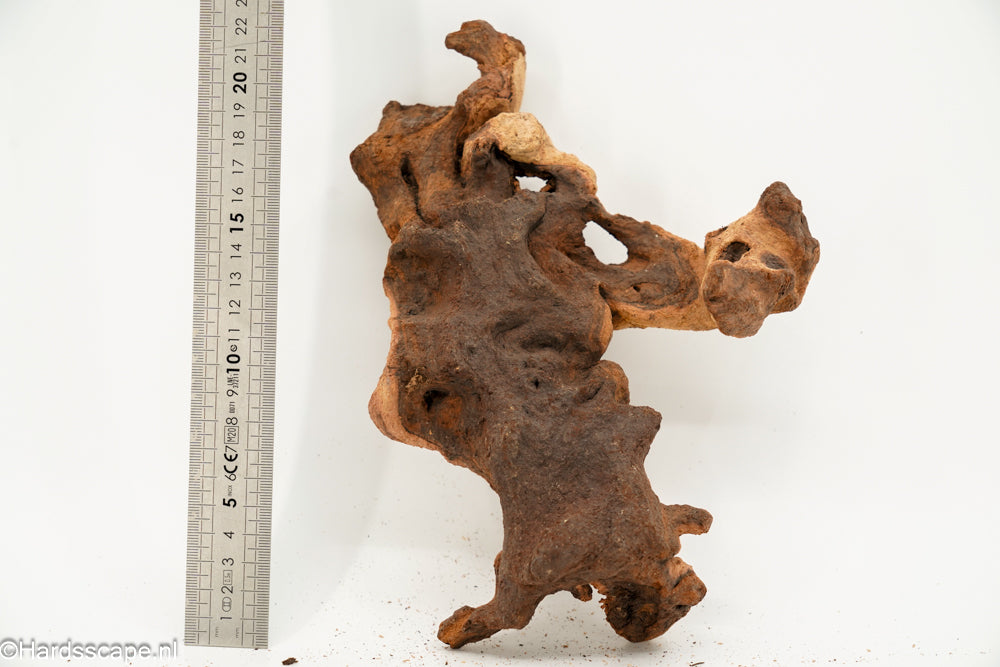 Mopani Hout 170 - Hardscape.nl