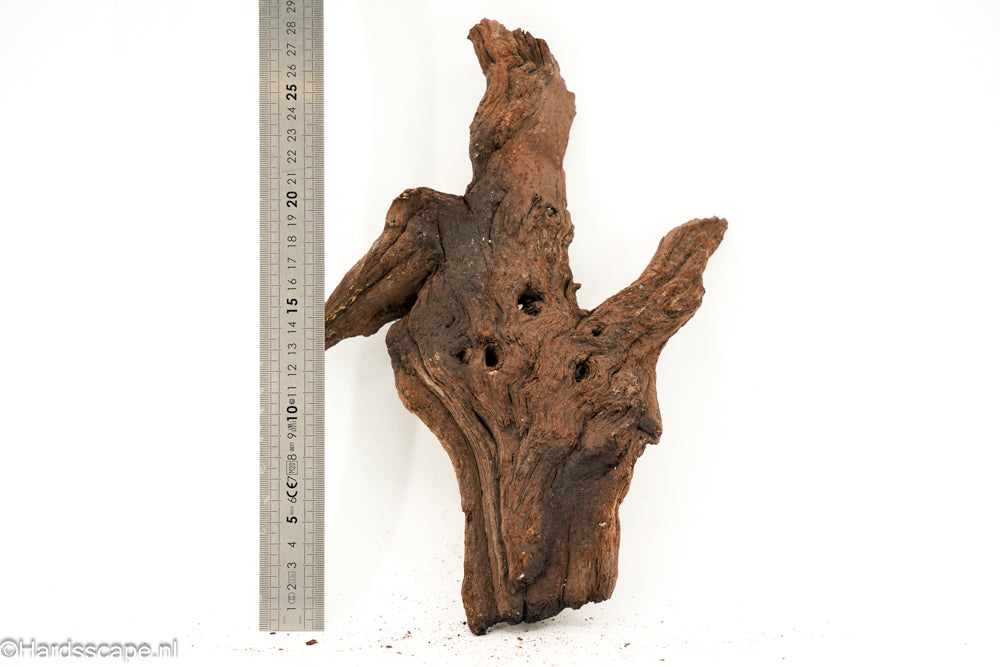 Mopani Hout 178 - Hardscape.nl