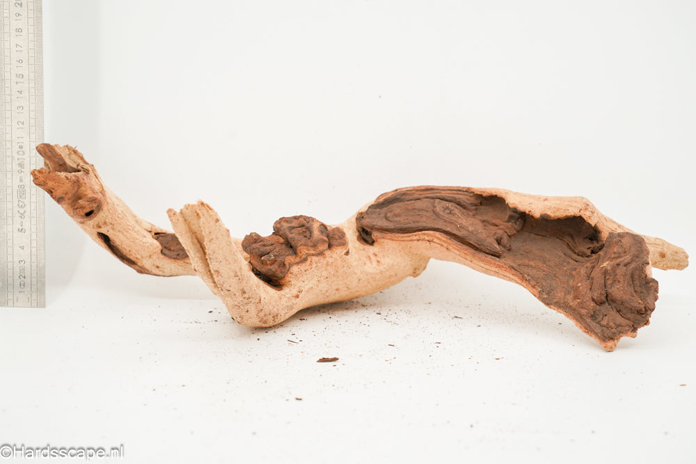 Mopani Hout 180 - Hardscape.nl