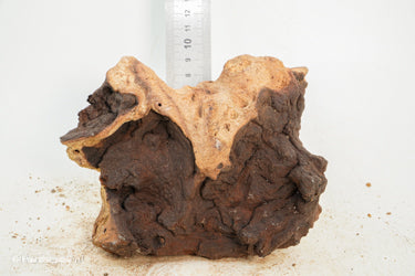 Mopani Hout 43 - Hardscape.nl