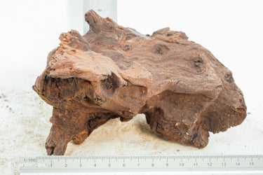 Mopani Hout 44 - Hardscape.nl