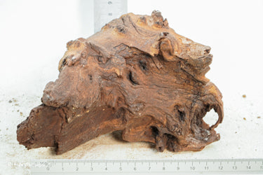 Mopani Hout 44 - Hardscape.nl