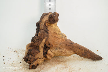 Mopani Hout 45 - Hardscape.nl