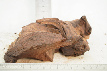 Mopani Hout 46 - Hardscape.nl