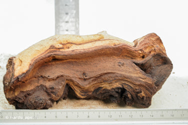 Mopani Hout 47 - Hardscape.nl