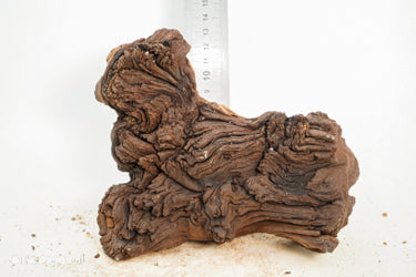 Mopani Hout 47 - Hardscape.nl