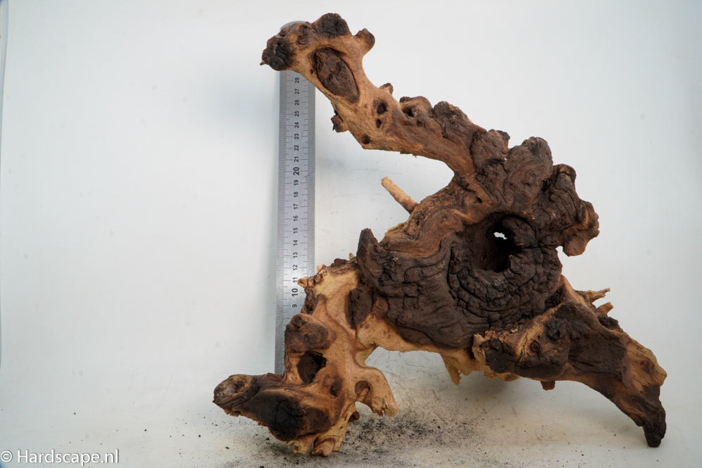 Mopani Hout 51 - Hardscape.nl
