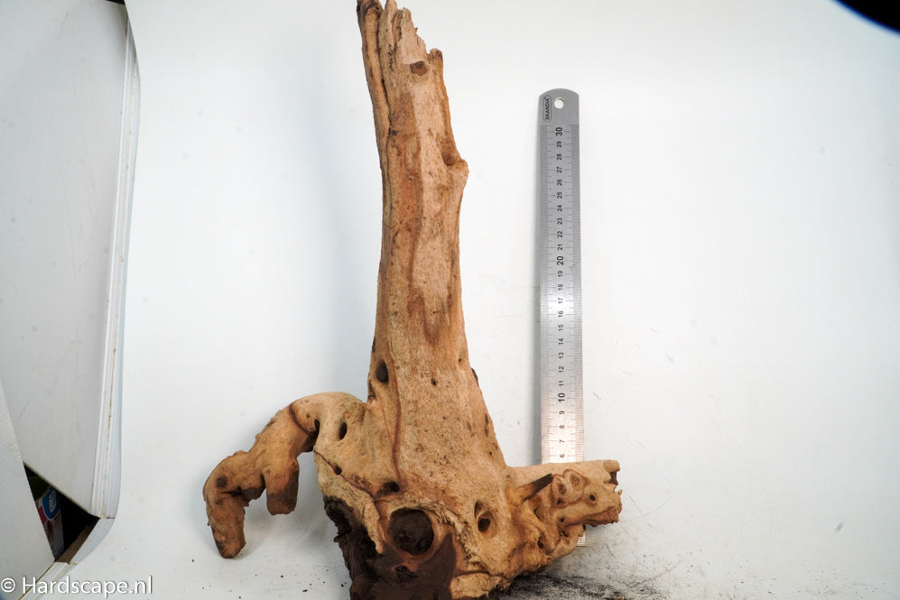 Mopani Hout 57 - Hardscape.nl