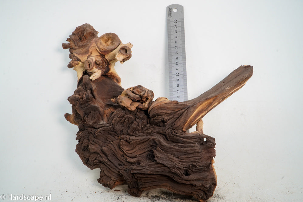 Mopani Hout 59 - Hardscape.nl