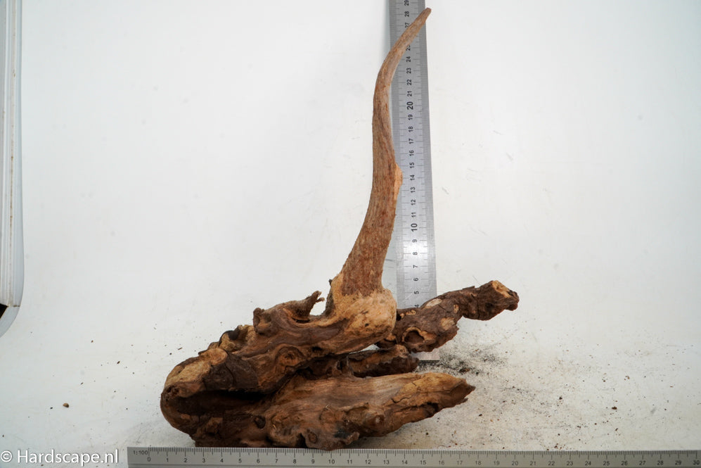 Mopani Hout 60 - Hardscape.nl
