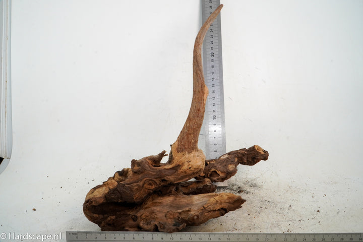 Mopani Hout 60 - Hardscape.nl