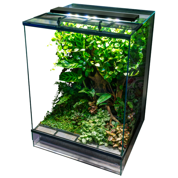 Skylight PR2.Q - Hardscape.nl