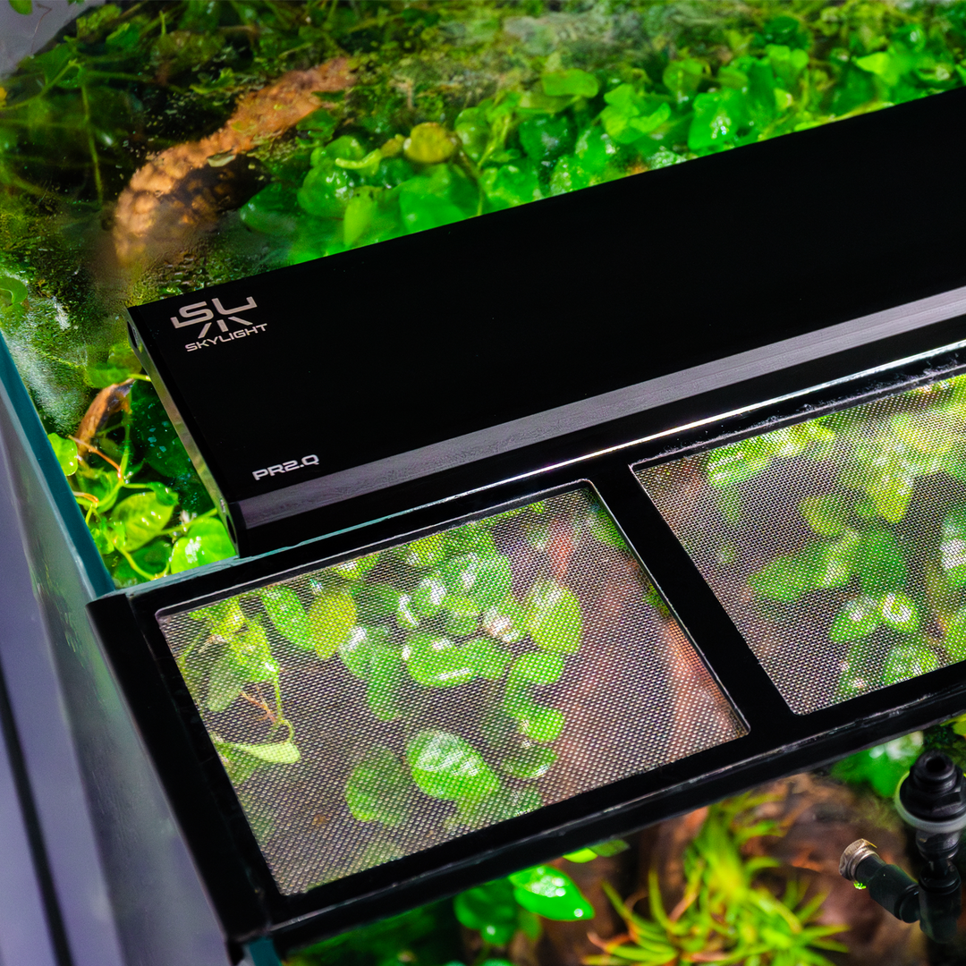 Skylight PR2.Q - Hardscape.nl