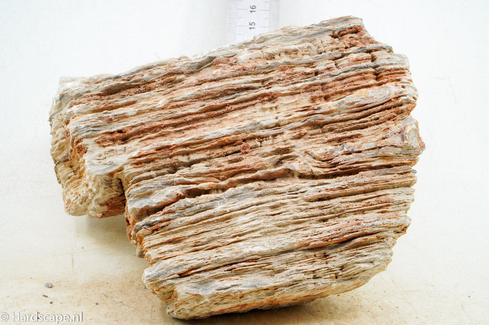 Pagoda Rock XL60 - Hardscape.nl
