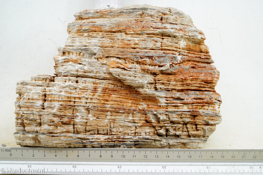 Pagoda Rock XL60 - Hardscape.nl