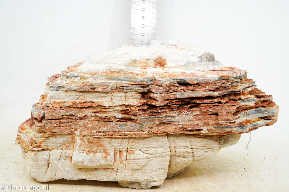 Pagoda Rock XL61 - Hardscape.nl