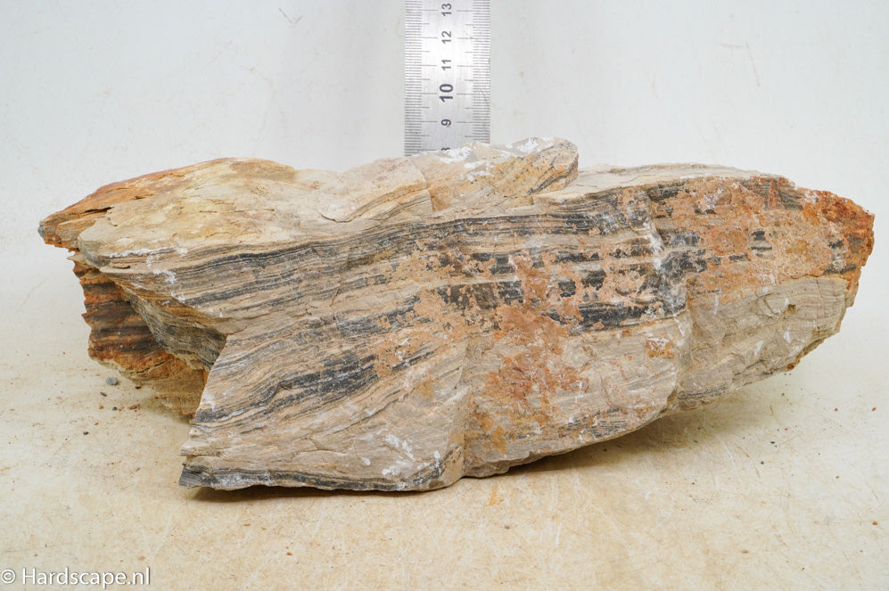 Pagoda Rock XL62 - Hardscape.nl
