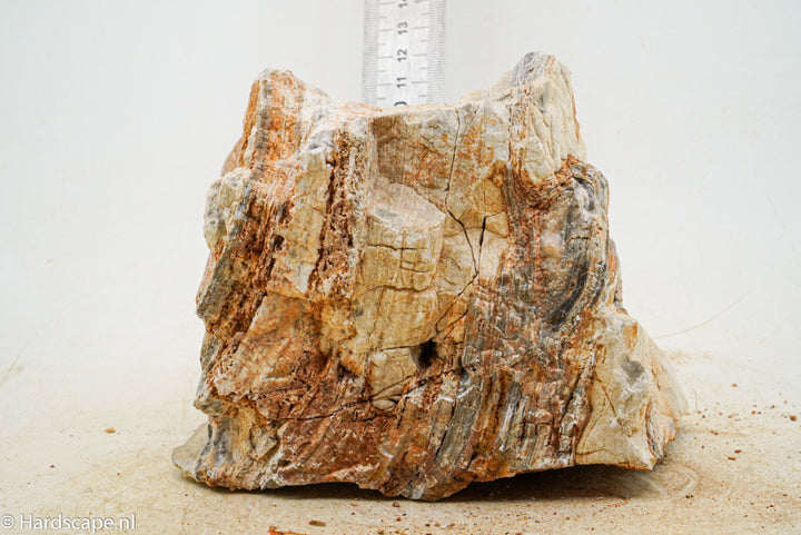 Pagoda Rock XL50 - Hardscape.nl