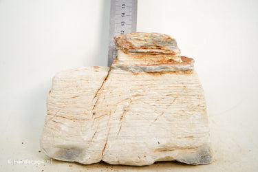 Pagoda Rock L49 - Hardscape.nl