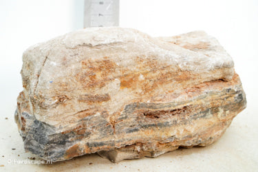 Pagoda Rock L50 - Hardscape.nl