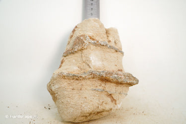 Pagoda Rock L56 - Hardscape.nl