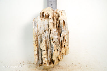 Pagoda Rock M66 - Hardscape.nl