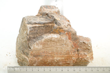 Pagoda Rock M67 - Hardscape.nl