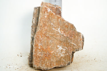 Pagoda Rock M67 - Hardscape.nl